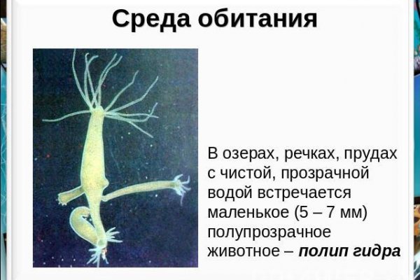 Кракен наркотики в оренбурге