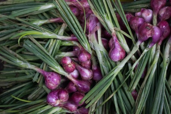 Kraken ссылка kraken torion