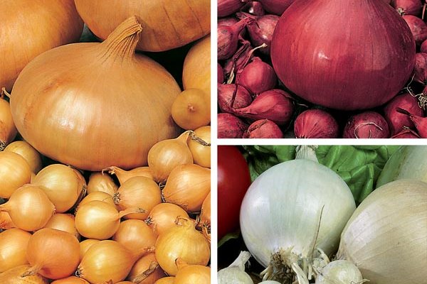 Рабочие методы кракен переходник ссылка