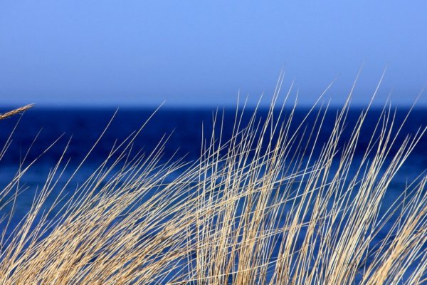 Адрес сайта кракен