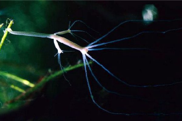 Кракен тор и современные технологии