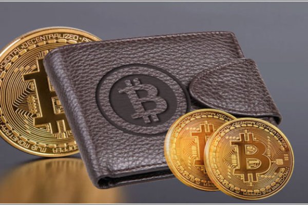 Кракен работает: полный обзор